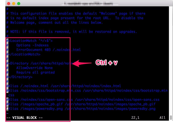 Vim で複数行にコメントアウトを挿入 削除する方法 Ex1 Lab