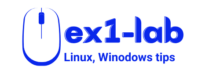 ex1-lab_logo
